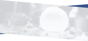 site background